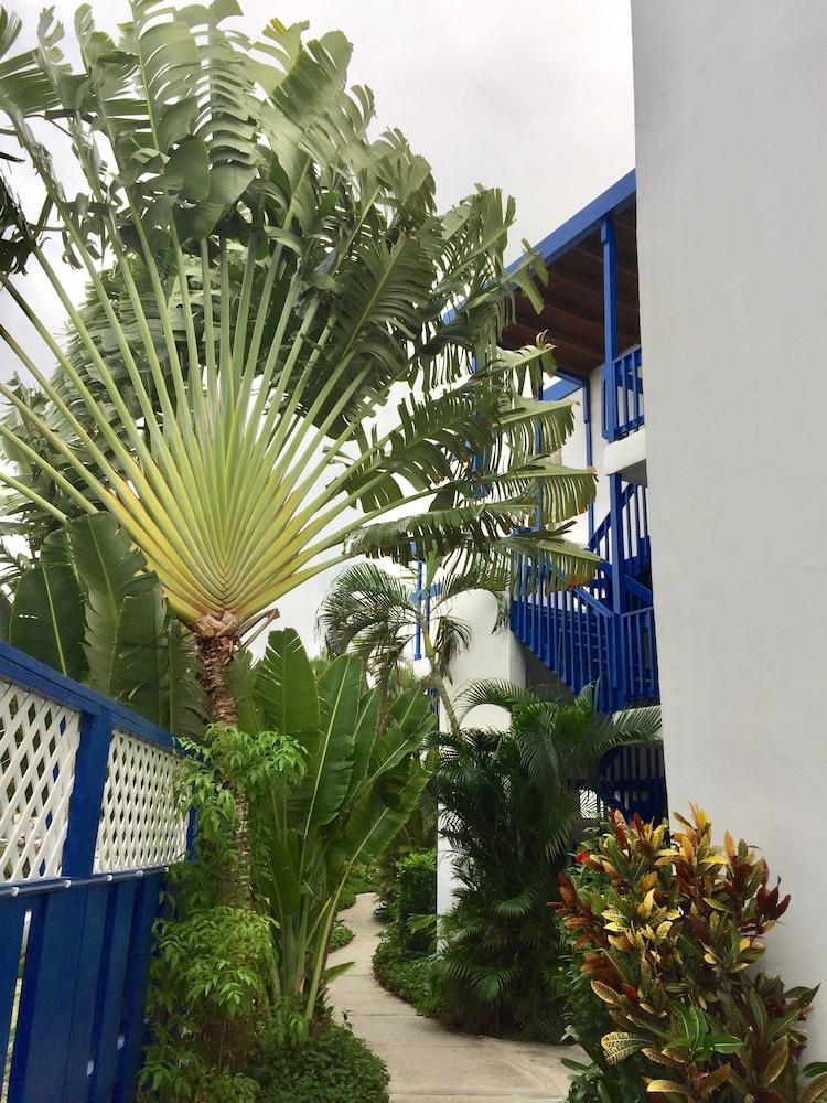 Holger Danske Hotel Christiansted Esterno foto