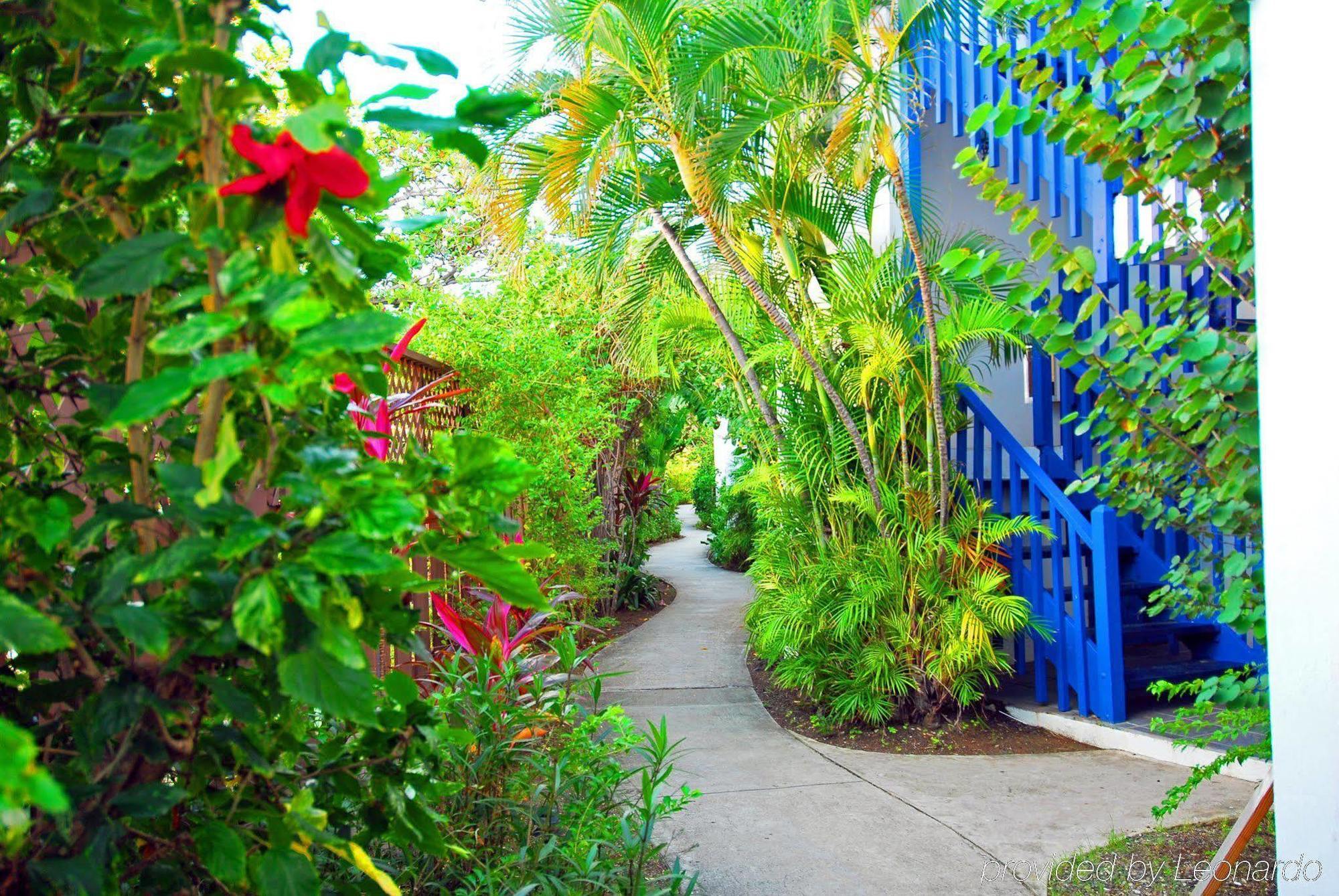 Holger Danske Hotel Christiansted Esterno foto